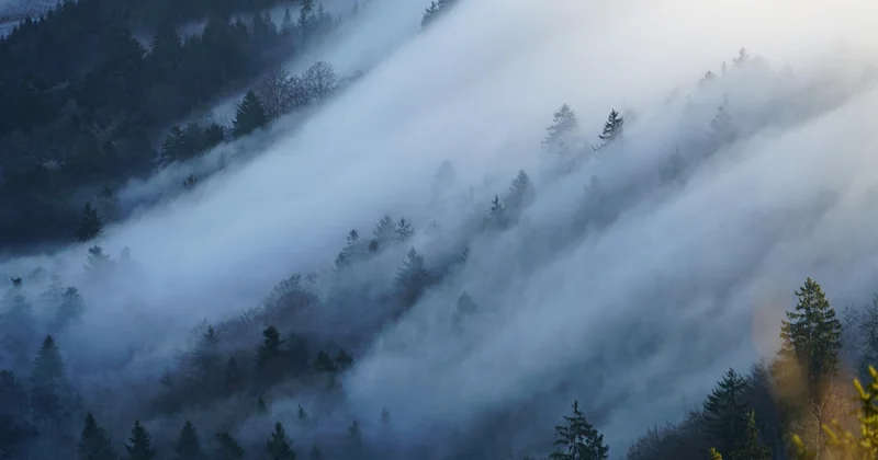 Les Pyrénées et le Jura : la montagne autrement