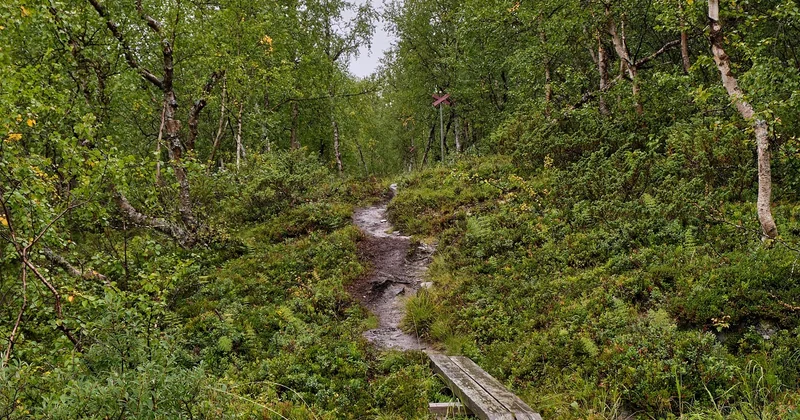Que faire quand il pleut en camping ?